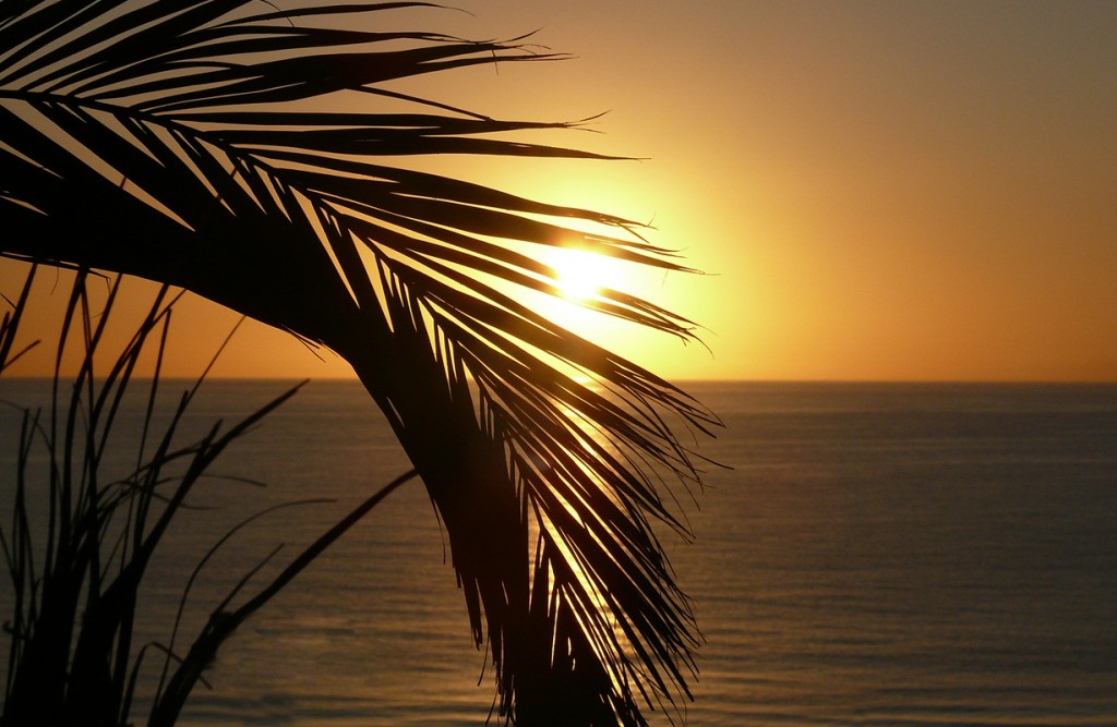 Foto-Kiefer Saarbrücken