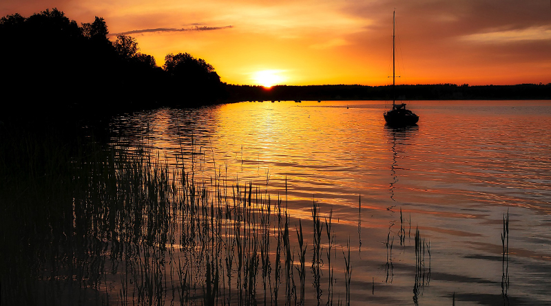 Foto-Kiefer Saarbrücken