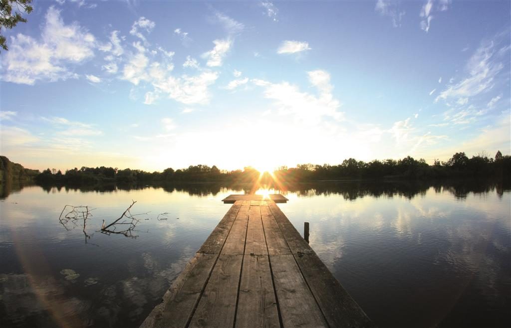 Foto-Kiefer Saarbrücken