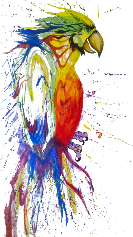 Foto-Kiefer Saarbrücken